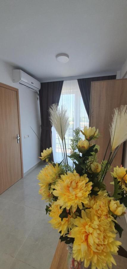 Ema Hotel Vama Veche Luaran gambar